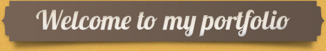 Welcome to my portfolio